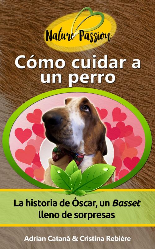 Cover of the book Cómo cuidar a un perro by Adrian Catana, Cristina Rebiere, Olivier Rebiere