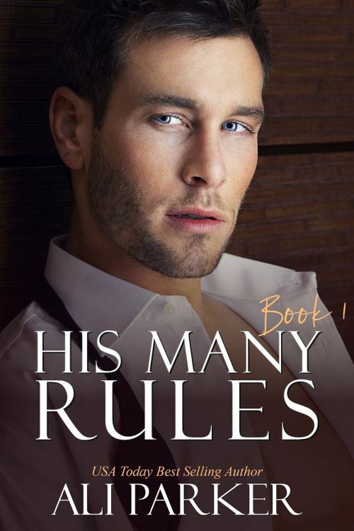 Cover of the book His Many Rules Book 1 by Ali Parker, BrixBaxter Publishing