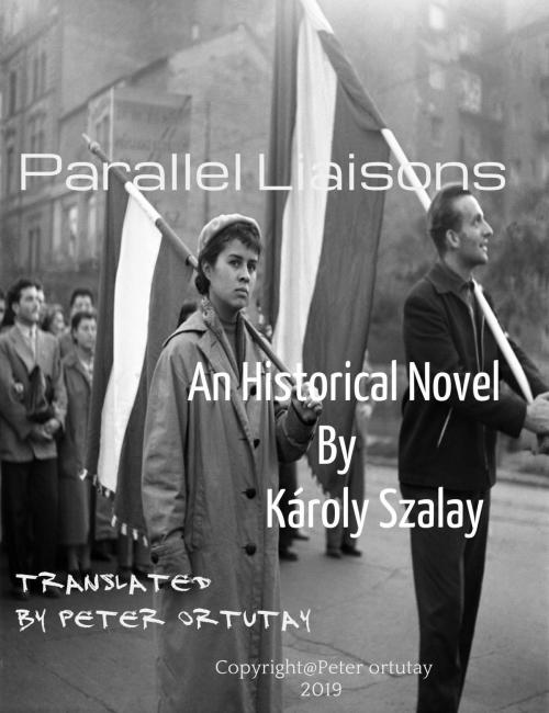 Cover of the book Parallel Liaisons by Károly Szalay, Peter Ortutay