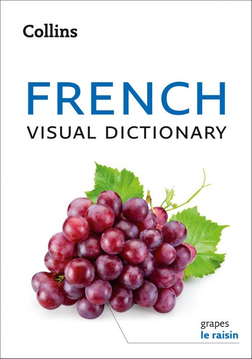 Cover of the book Collins French Visual Dictionary by Collins Dictionaries, HarperCollins Publishers