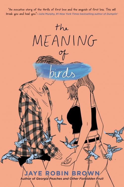 Cover of the book The Meaning of Birds by Jaye Robin Brown, HarperTeen