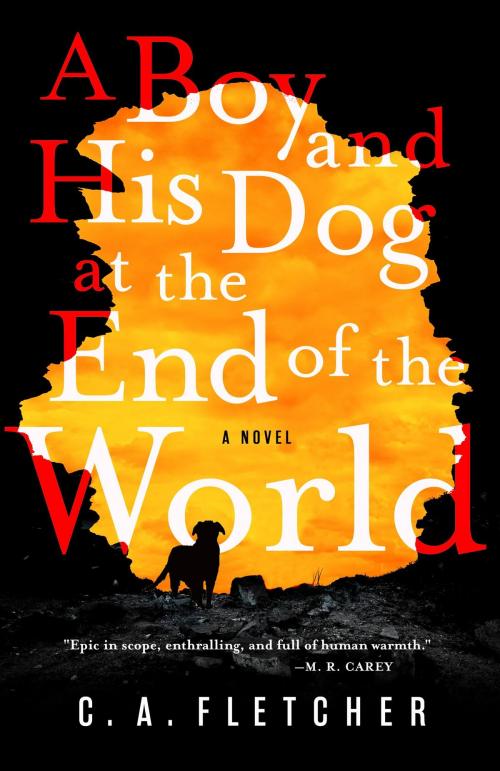 Cover of the book A Boy and His Dog at the End of the World by C. A. Fletcher, Orbit