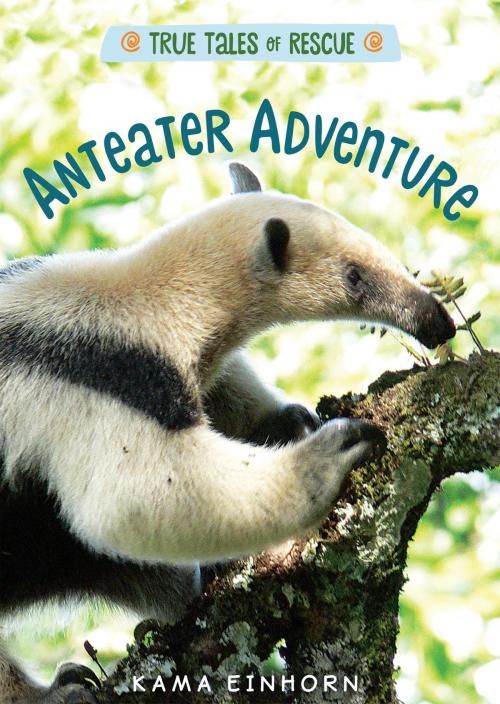Cover of the book Anteater Adventure by Kama Einhorn, HMH Books