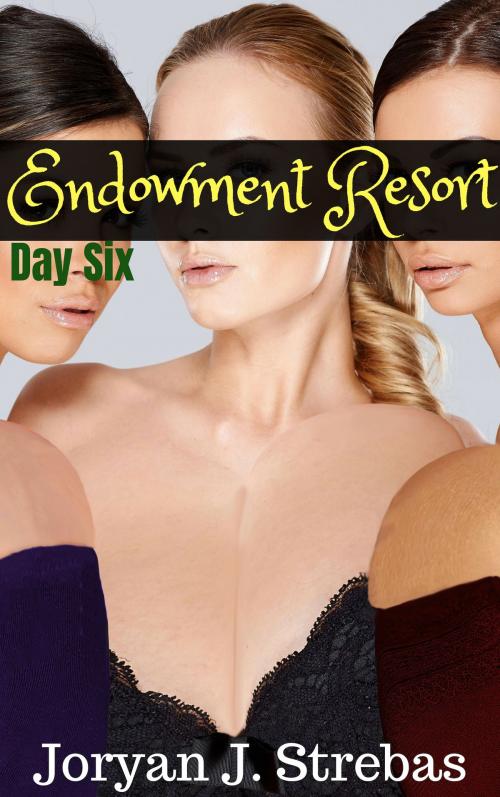 Cover of the book Endowment Resort: Day Six by Joryan J. Strebas, Joryan J. Strebas