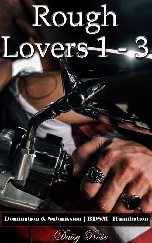Cover of the book Rough Lovers 1: 3 by Daisy Rose, Fanciful Erotica