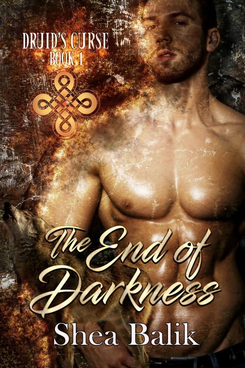 Cover of the book The End of Darkness by Shea Balik, Shea Balik