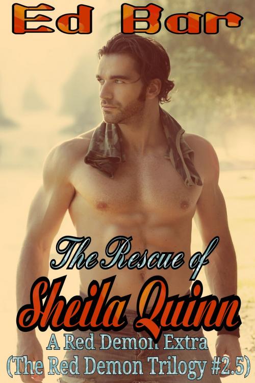 Cover of the book The Rescue of Sheila Quinn by Ed Bar, Ed Bar