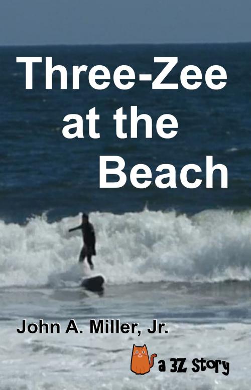 Cover of the book Three-Zee at the Beach by John A. Miller, Jr., John A. Miller, Jr.
