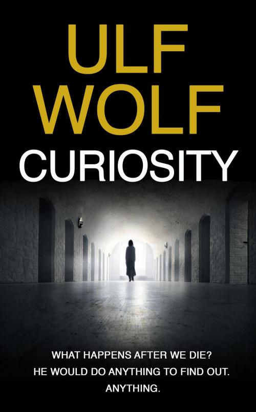 Cover of the book Curiosity by Ulf Wolf, Ulf Wolf