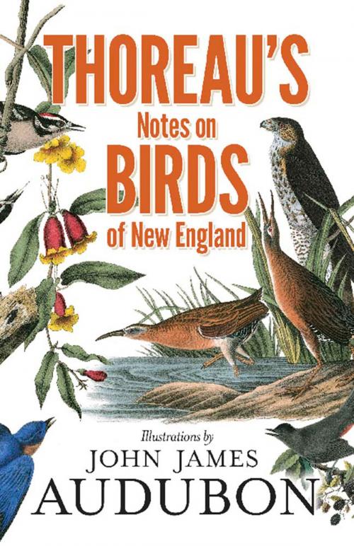 Cover of the book Thoreau's Notes on Birds of New England by Henry David Thoreau, Dover Publications