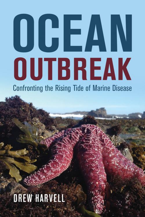 Cover of the book Ocean Outbreak by Drew Harvell, University of California Press