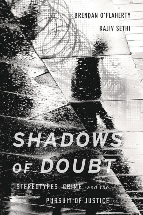 Cover of the book Shadows of Doubt by Brendan O'Flaherty, Rajiv Sethi, Harvard University Press
