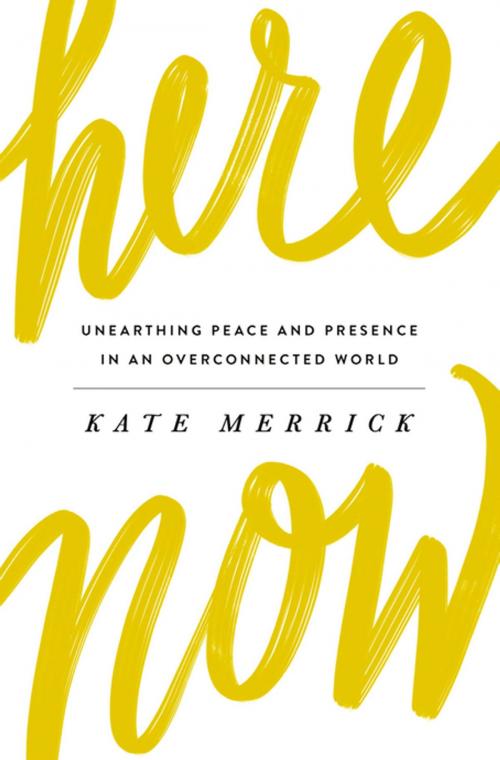 Cover of the book Here, Now by Kate Merrick, Thomas Nelson