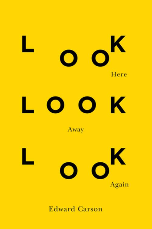 Cover of the book Look Here Look Away Look Again by Edward Carson, MQUP