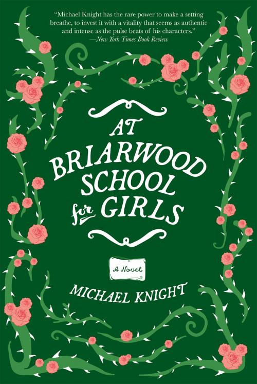 Cover of the book At Briarwood School for Girls by Michael Knight, Grove Atlantic