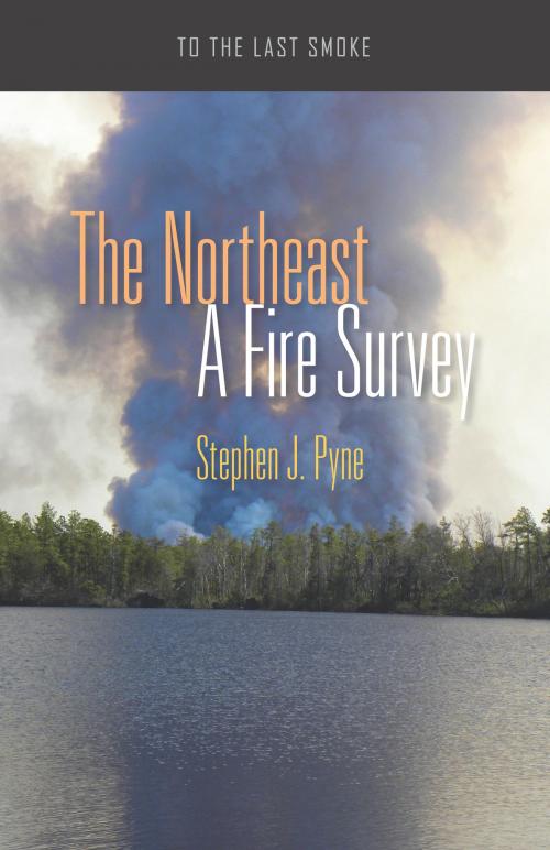 Cover of the book The Northeast by Stephen J. Pyne, University of Arizona Press