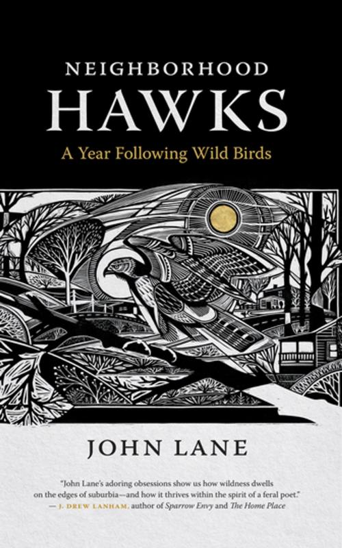 Cover of the book Neighborhood Hawks by John Lane, Helen Correll, University of Georgia Press