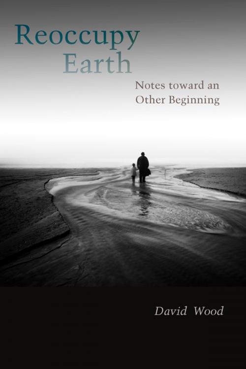 Cover of the book Reoccupy Earth by David Wood, Fordham University Press