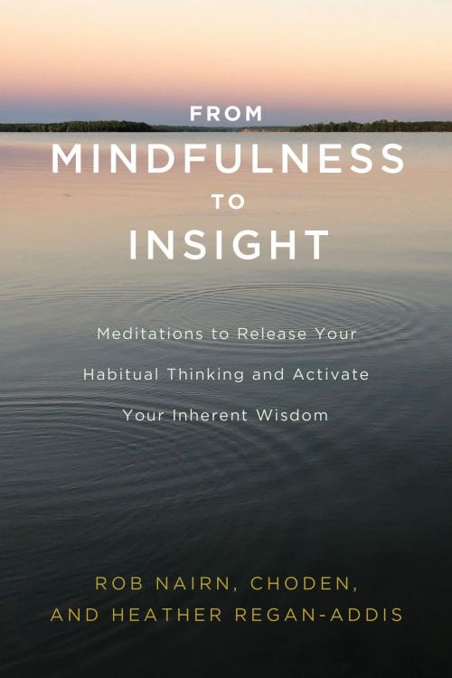 Cover of the book From Mindfulness to Insight by Rob Nairn, Choden, Heather Regan-Addis, Shambhala