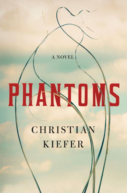 Cover of the book Phantoms: A Novel by Christian Kiefer, Liveright