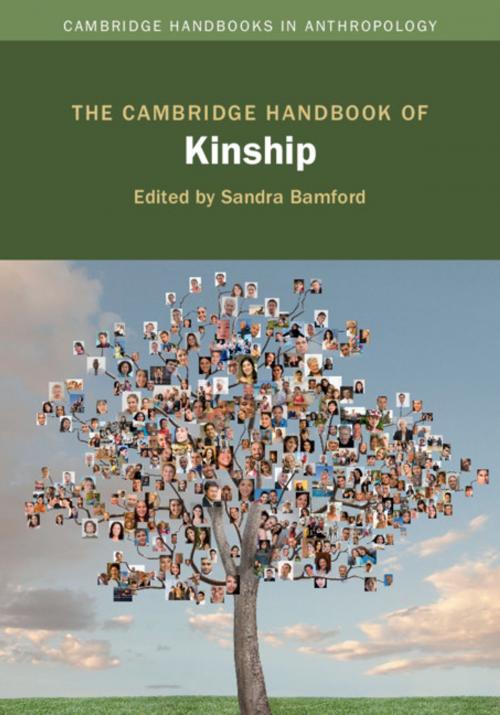 Cover of the book The Cambridge Handbook of Kinship by , Cambridge University Press