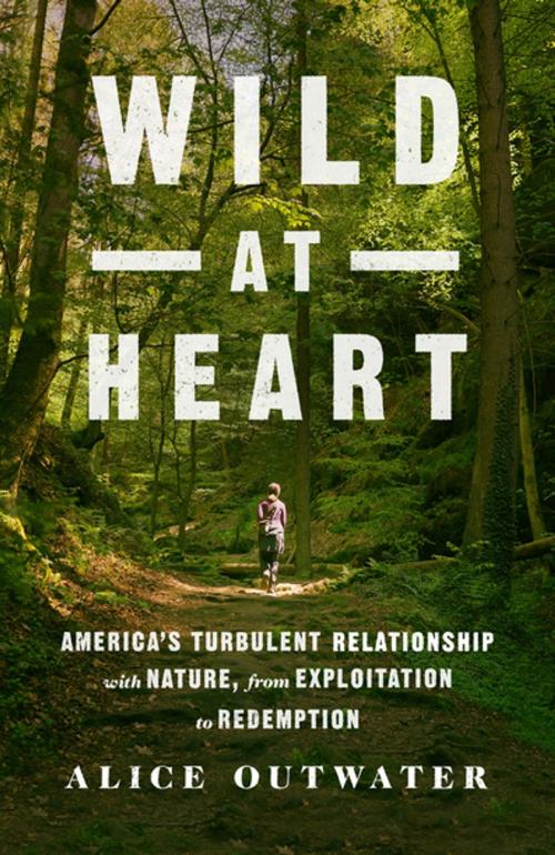 Cover of the book Wild at Heart by Alice Outwater, St. Martin's Press