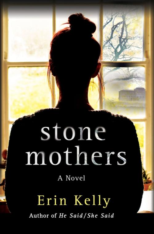 Cover of the book Stone Mothers by Erin Kelly, St. Martin's Publishing Group