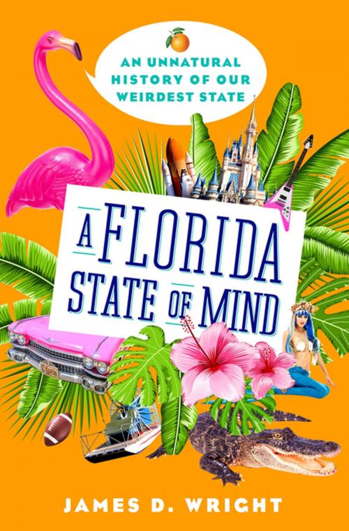 Cover of the book A Florida State of Mind by James D. Wright, St. Martin's Press
