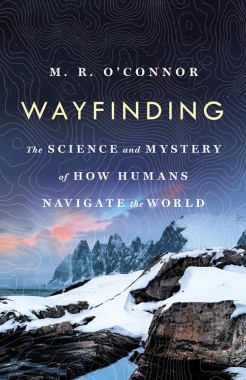 Cover of the book Wayfinding by M. R. O'Connor, St. Martin's Press