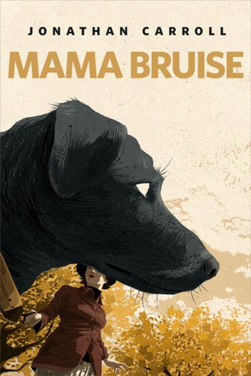 Cover of the book Mama Bruise by Jonathan Carroll, Tom Doherty Associates