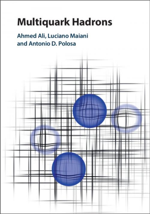 Cover of the book Multiquark Hadrons by Ahmed Ali, Luciano Maiani, Antonio D. Polosa, Cambridge University Press
