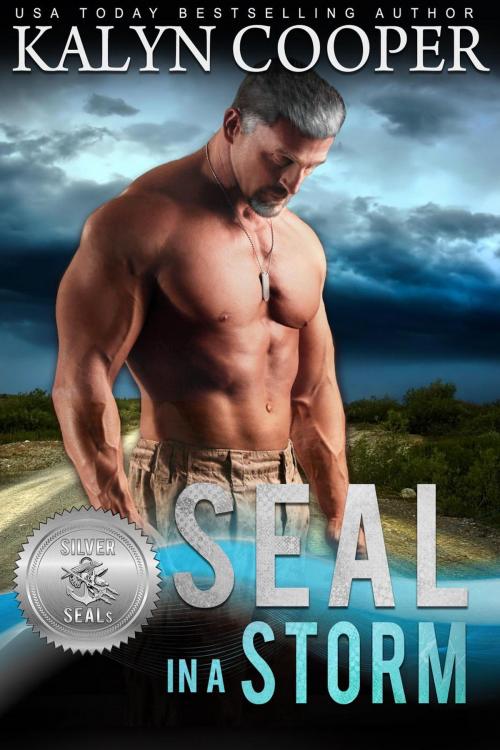 Cover of the book SEAL in a Storm by KaLyn Cooper, Suspense Sisters, KaLyn Cooper