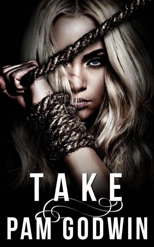 Cover of the book Take by Pam Godwin, Heartbound Media, Inc.