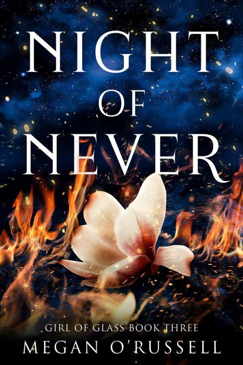 Cover of the book Night of Never by Megan O'Russell, Ink Worlds Press