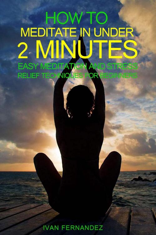 Cover of the book How to Meditate in Under 2 Minutes: Easy Meditation and Stress Relief Techniques for Beginners by Ivan Fernandez, Ivan Fernandez