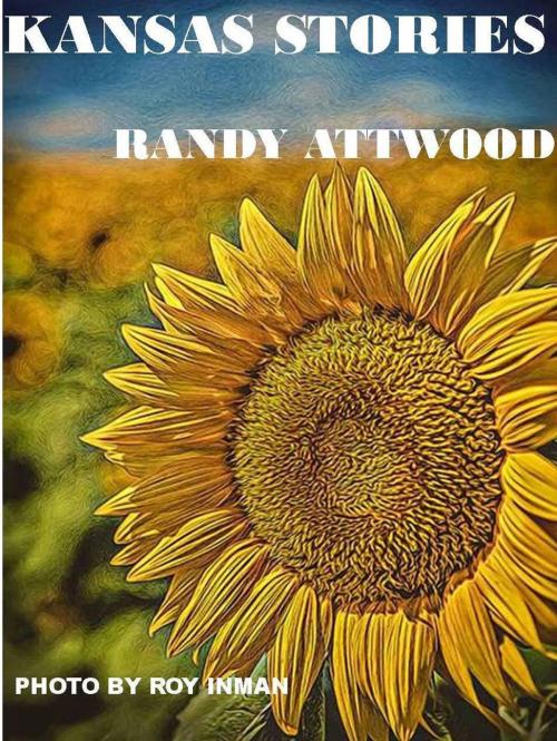 Cover of the book Kansas Stories by Randy Attwood, Randy Attwood