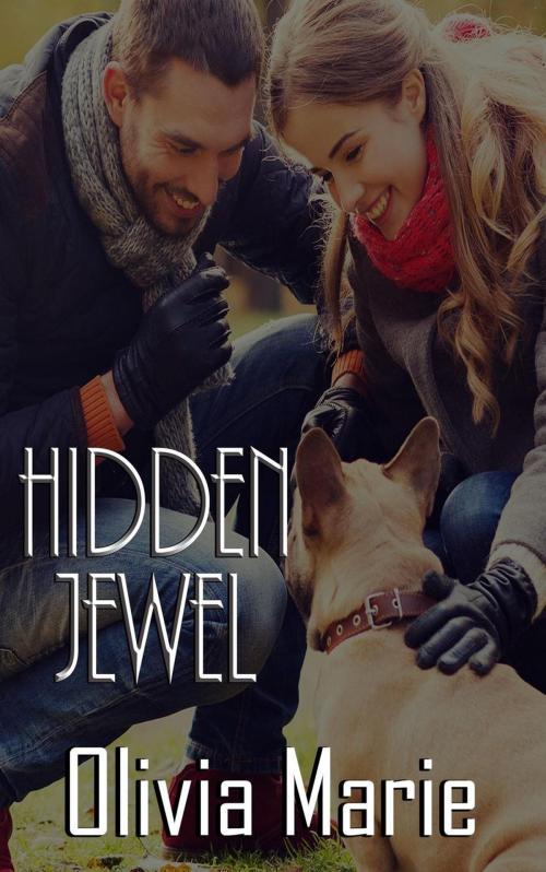 Cover of the book Hidden Jewel by Olivia Marie, Crazy Ink