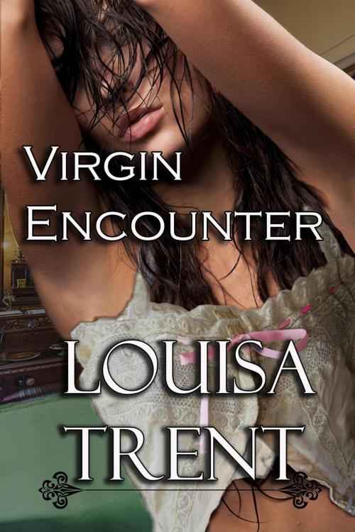 Cover of the book Virgin Encounter by Louisa Trent, Trent Publishing