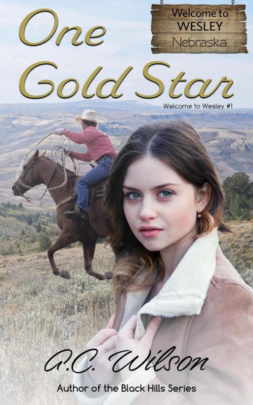 Cover of the book One Gold Star by A.C. Wilson, A.C. Wilson