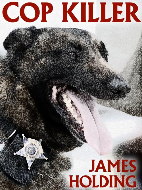 Cover of the book Cop Killer by James Holding, Wildside Press LLC