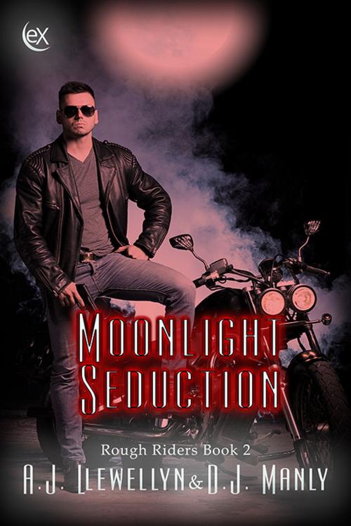 Cover of the book Moonlight Seduction by A. J. Llewellyn, D. J. Manly, eXtasy Books Inc