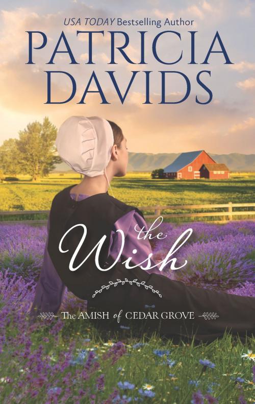 Cover of the book The Wish by Patricia Davids, HQN Books