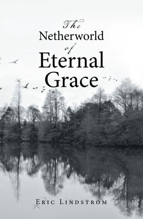Cover of the book The Netherworld of Eternal Grace by Eric Lindstrom, LifeRich Publishing