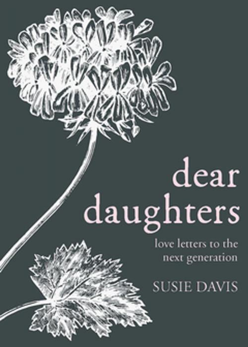 Cover of the book Dear Daughters by Susie Davis, Abingdon Press