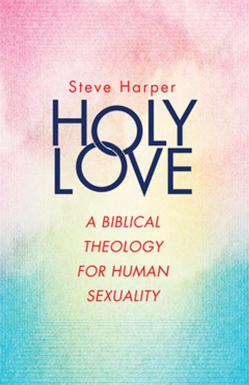 Cover of the book Holy Love by Steve Harper, Abingdon Press