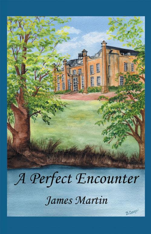 Cover of the book A Perfect Encounter by James Martin, Balboa Press AU