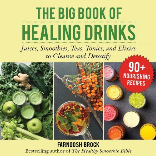 Cover of the book The Big Book of Healing Drinks by Farnoosh Brock, Skyhorse