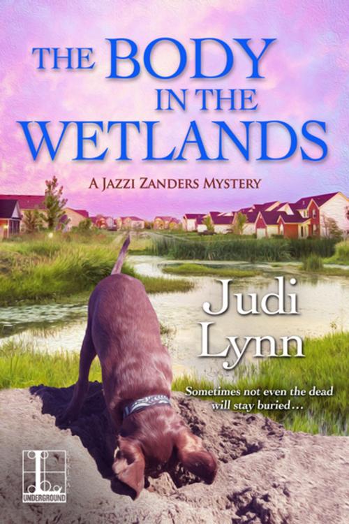 Cover of the book The Body in the Wetlands by Judi Lynn, Lyrical Press