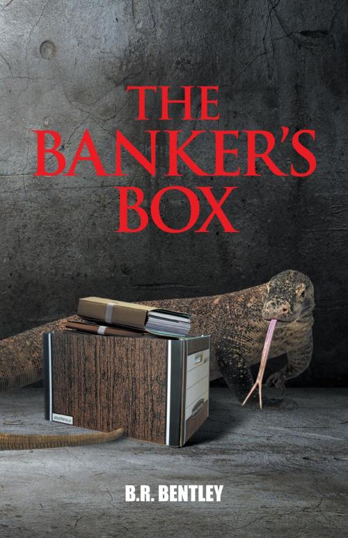 Cover of the book The Banker's Box by B.R. Bentley, FriesenPress