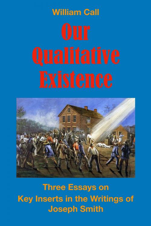 Cover of the book Our Qualitative Existence by William Call, BookBaby